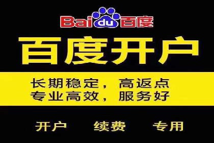 百度竞价广告在电商行业的实战应用案例